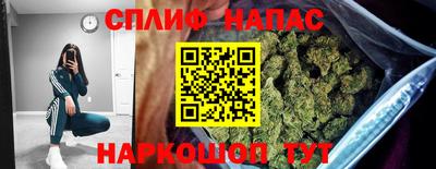 ECSTASY Гай