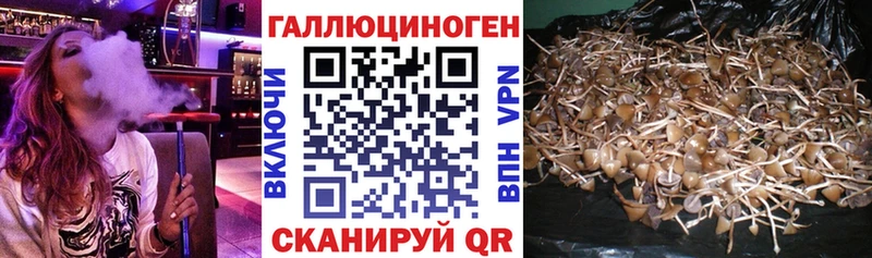 Галлюциногенные грибы мицелий  Зеленокумск 
