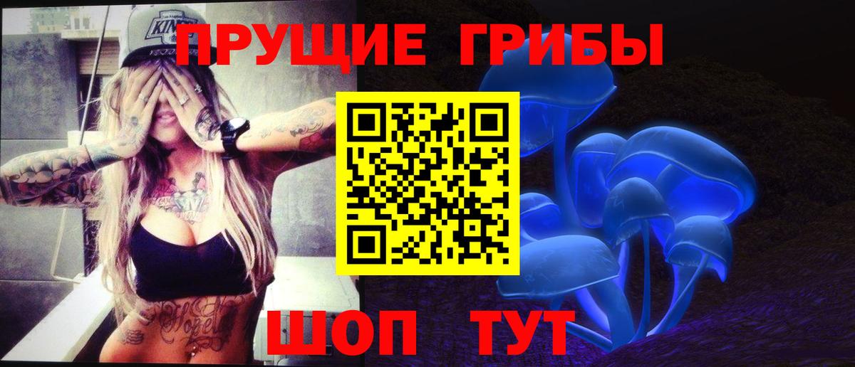 Псилоцибиновые грибы Psilocybine cubensis Зеленокумск