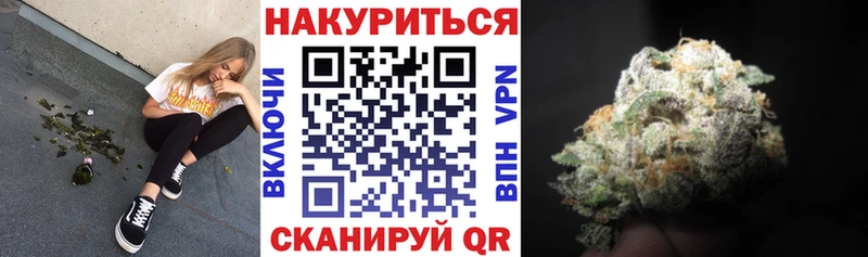 Канабис OG Kush  Зеленокумск 